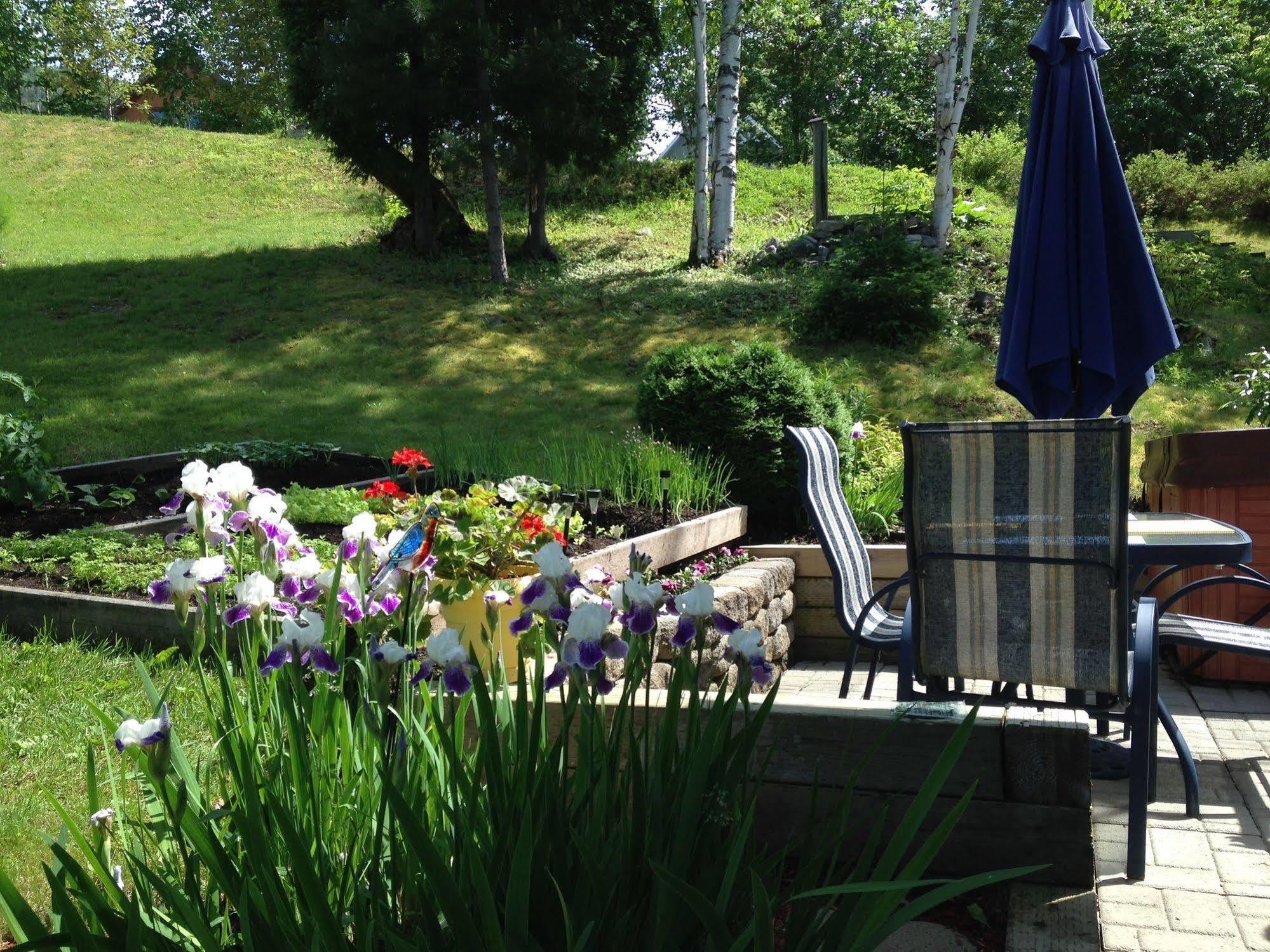 Panoramique Du Fjord Apartment LʼAnse-Saint-Jean Exterior foto