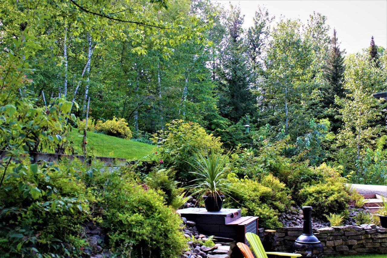 Panoramique Du Fjord Apartment LʼAnse-Saint-Jean Exterior foto